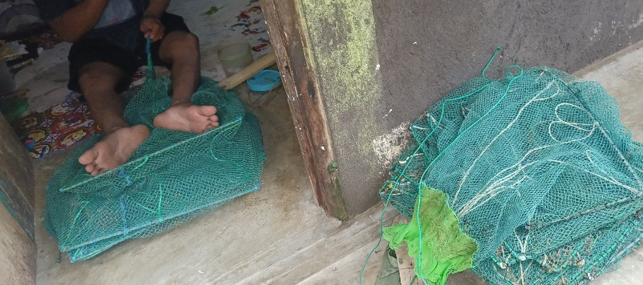 jebak kepiting