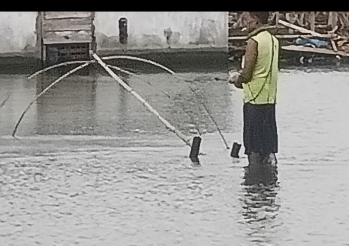 mencari ikan