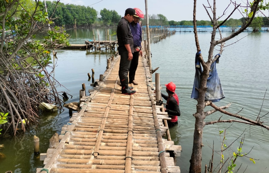 cek Lokasi