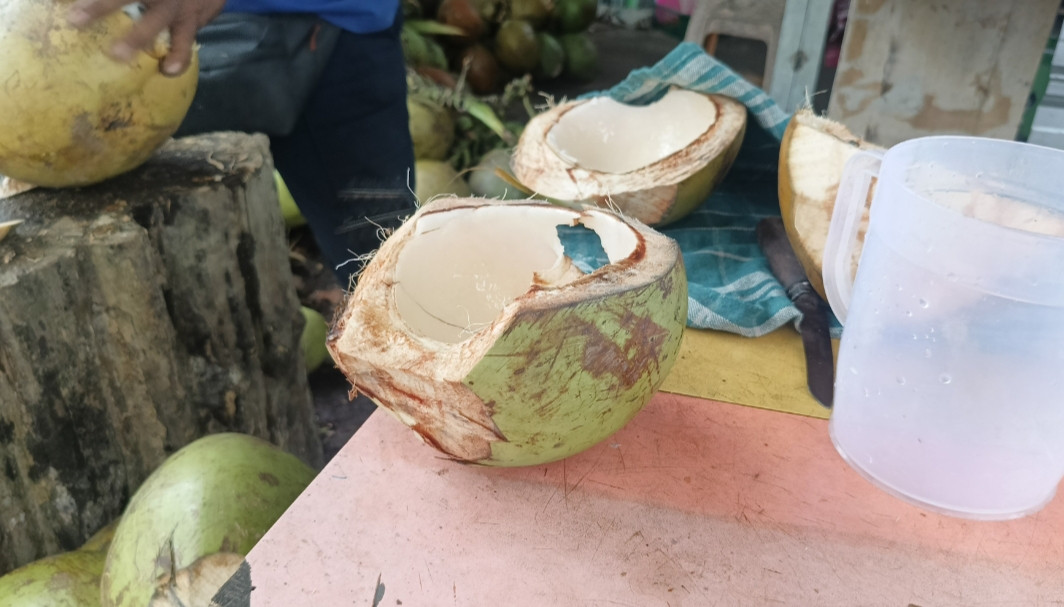 ws kelapa muda