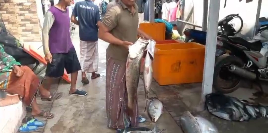 hasil tangkapan petani tambak