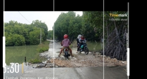 ketinggian air pasang naik