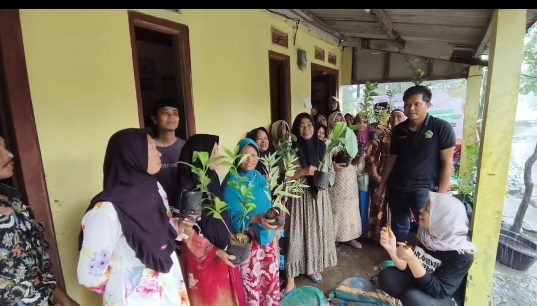 Penanaman bibit pohon nangrove untuk mengurangi tanggul yang rusak