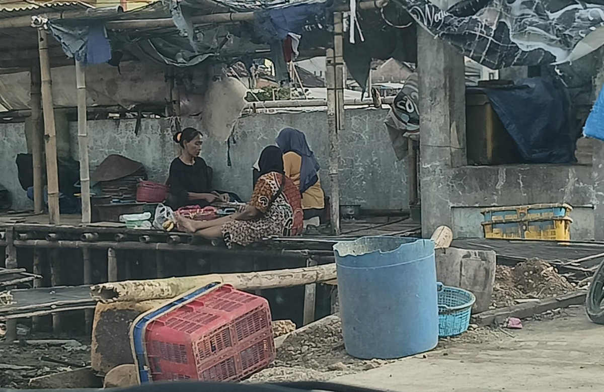 usaha pengolahan ikan untuk mencukupi kebutuhan rumah tangga
