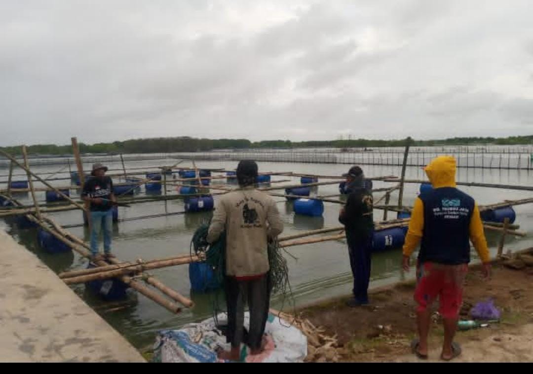 Pemanfaatan lahan tambak yang kosong untuk membuat kandang bebek bertelur