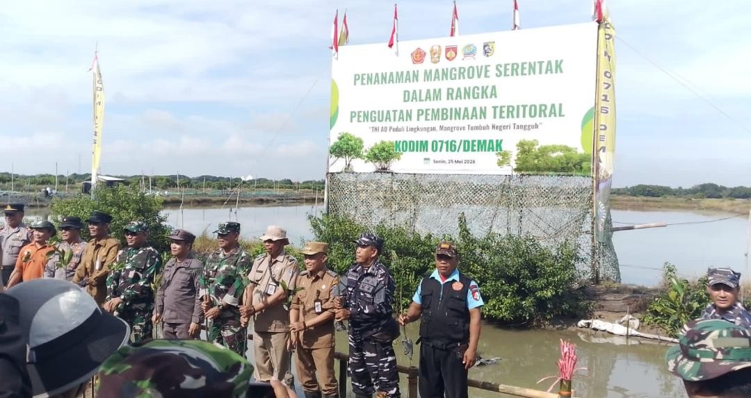Penanaman pohon nangrove bersama untuk menanggulangi abrasi