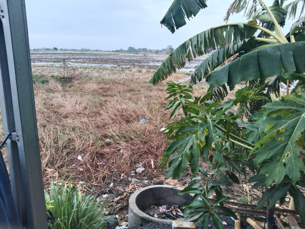 Bajak sawah