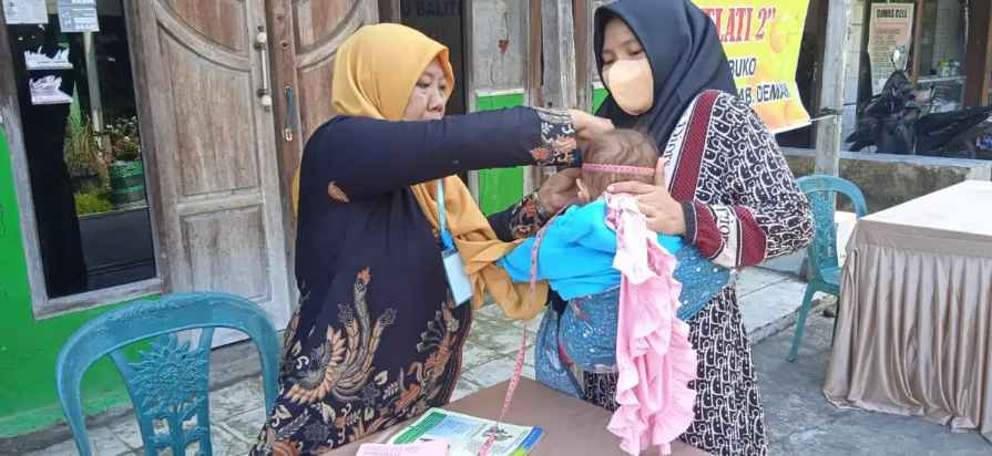 Kegiatan Posyandu Balita Melati II (Dua) Bulan Juli 2024