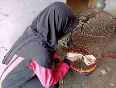 Pemberantasan Sarang Nyamuk dan Edukasi Kepada Warga untuk Menjaga Lingkungan Agar Tetap Sehat di RT 01 RW 07 Desa Buko Kecamatan Wedung Kabupaten Demak