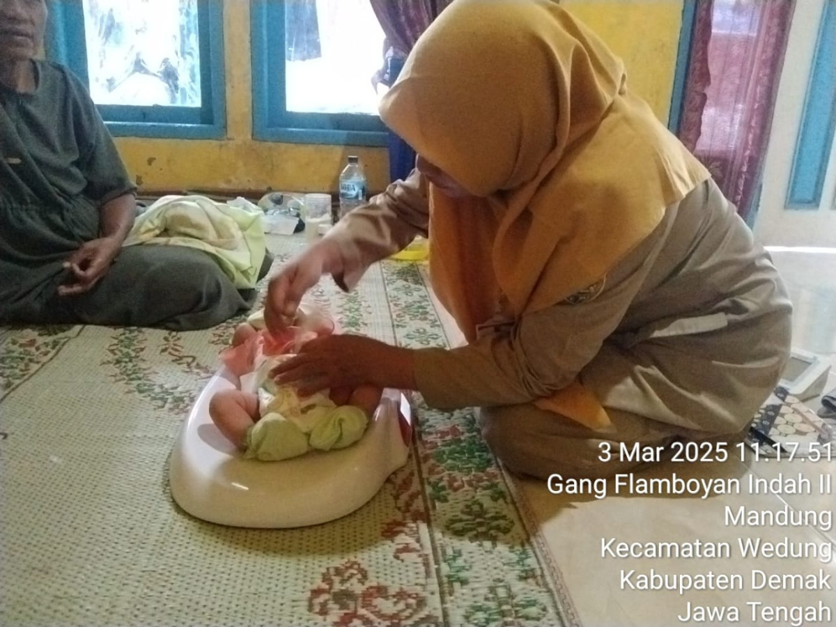 Kunjungan bidan desa paska salin