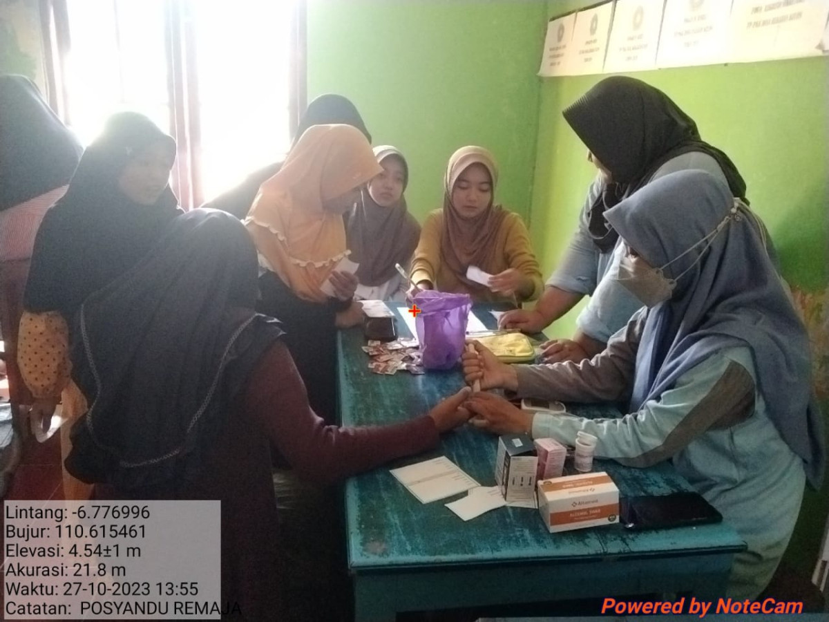Posyandu remaja