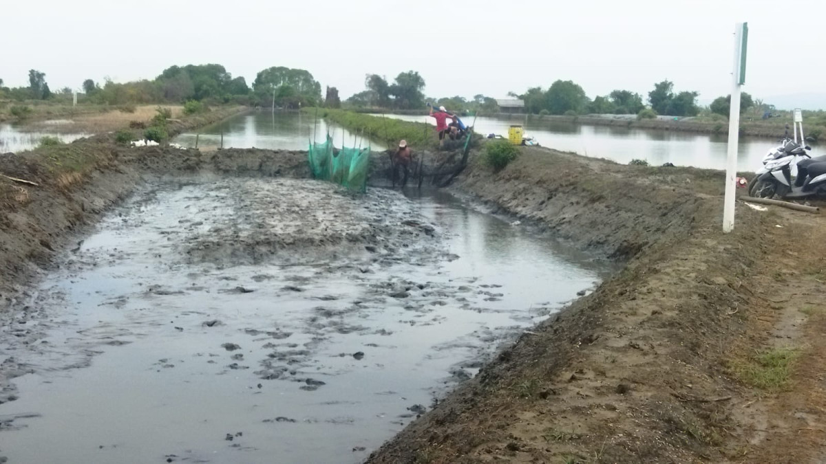 Pencari ikan