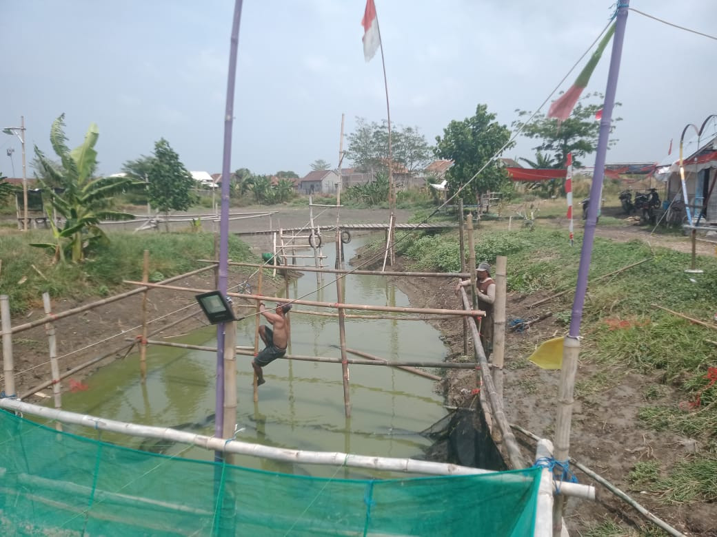 Budidaya udang windu