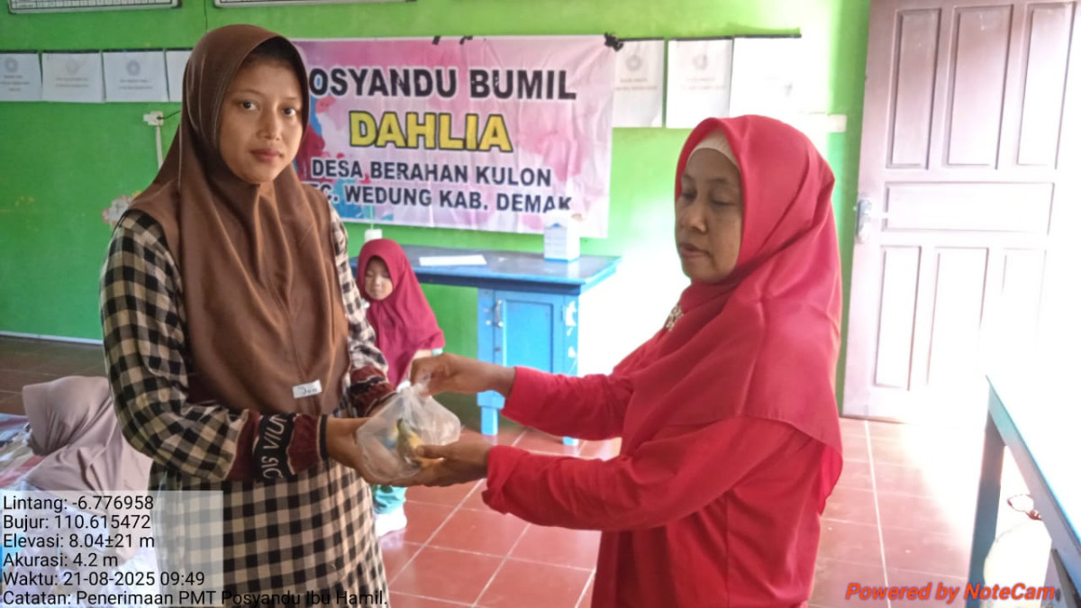 Kegiatan posyandu ibu hamil