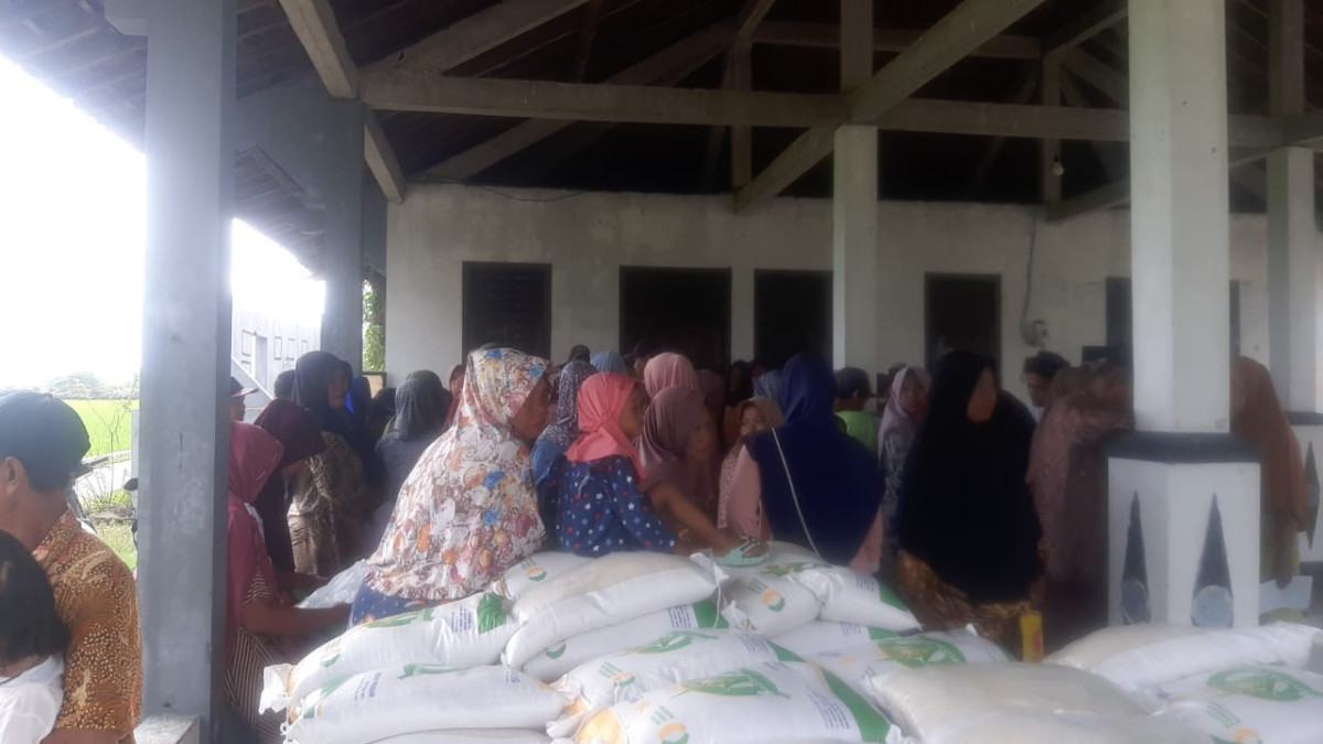 Bantuan beras dari dinas pertanian utk warga bungo