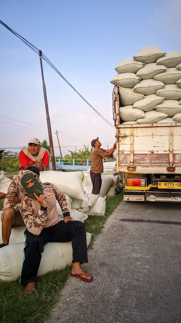 Manol padu didesa bungo