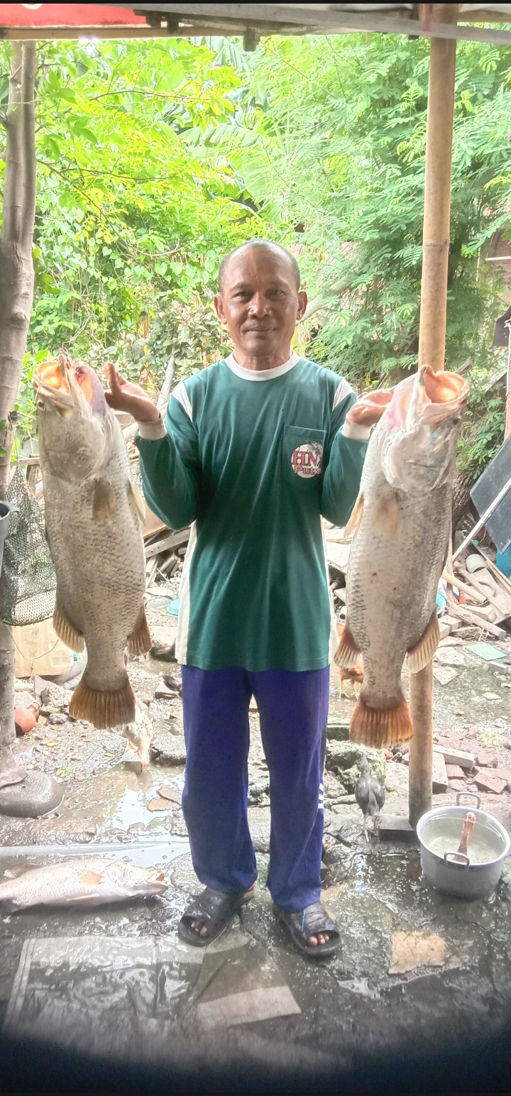 Jual ikan hasil laut di desa Bungo