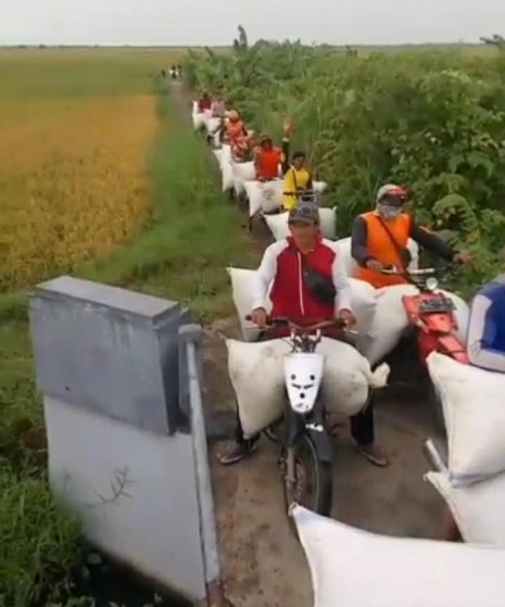 Manol ojek panin desa bungo