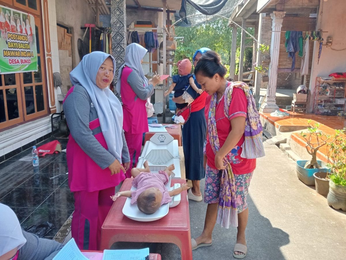 Posyandu Bayi Balita Mawar indah 2