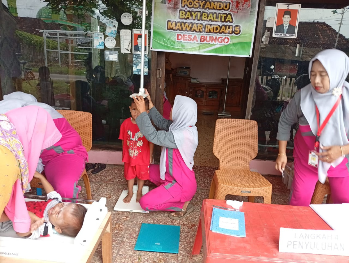 Posyandu Bayi Balita Mawar indah 5