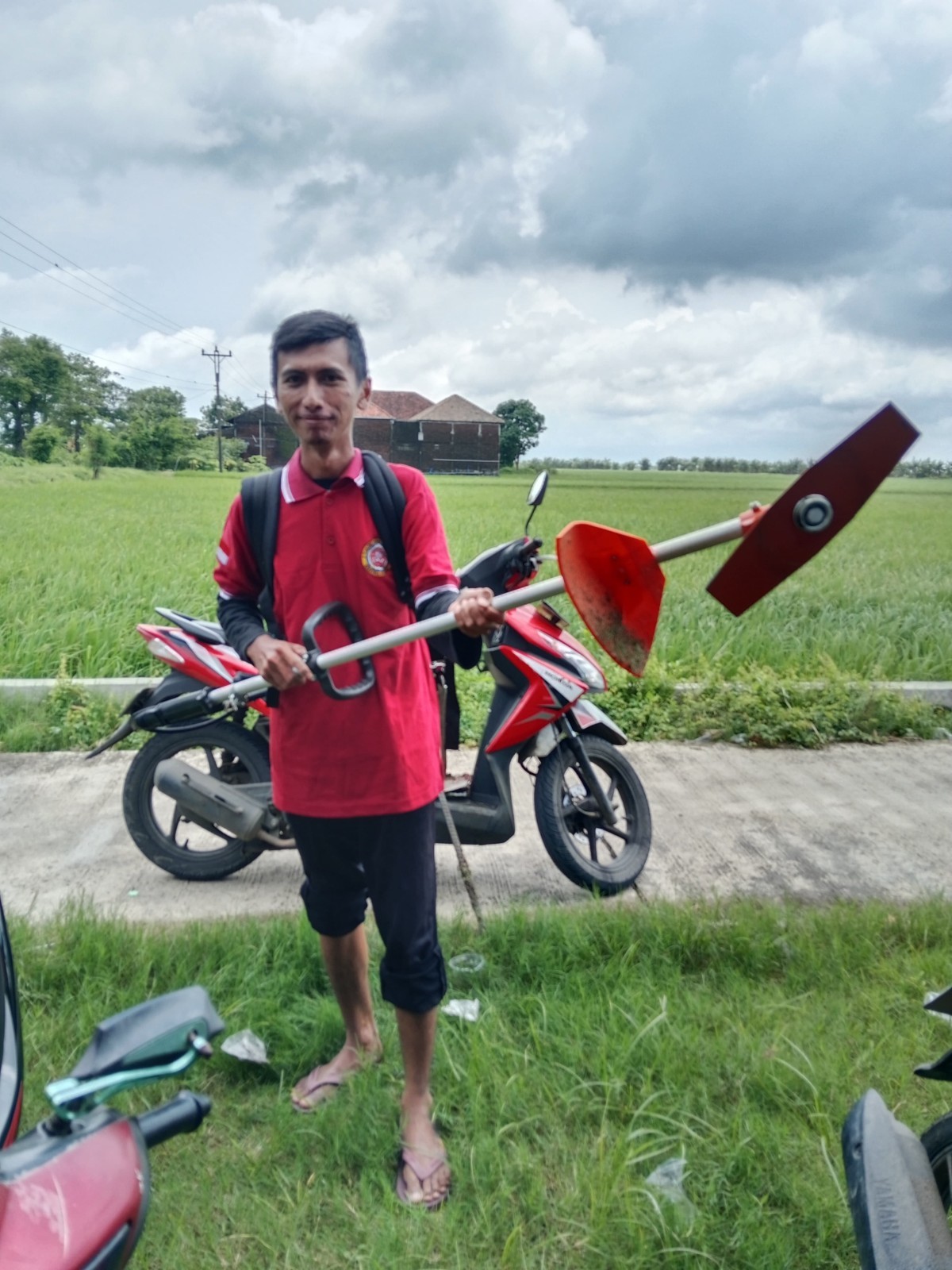 Menanam Pohon di Pinggir Jalan