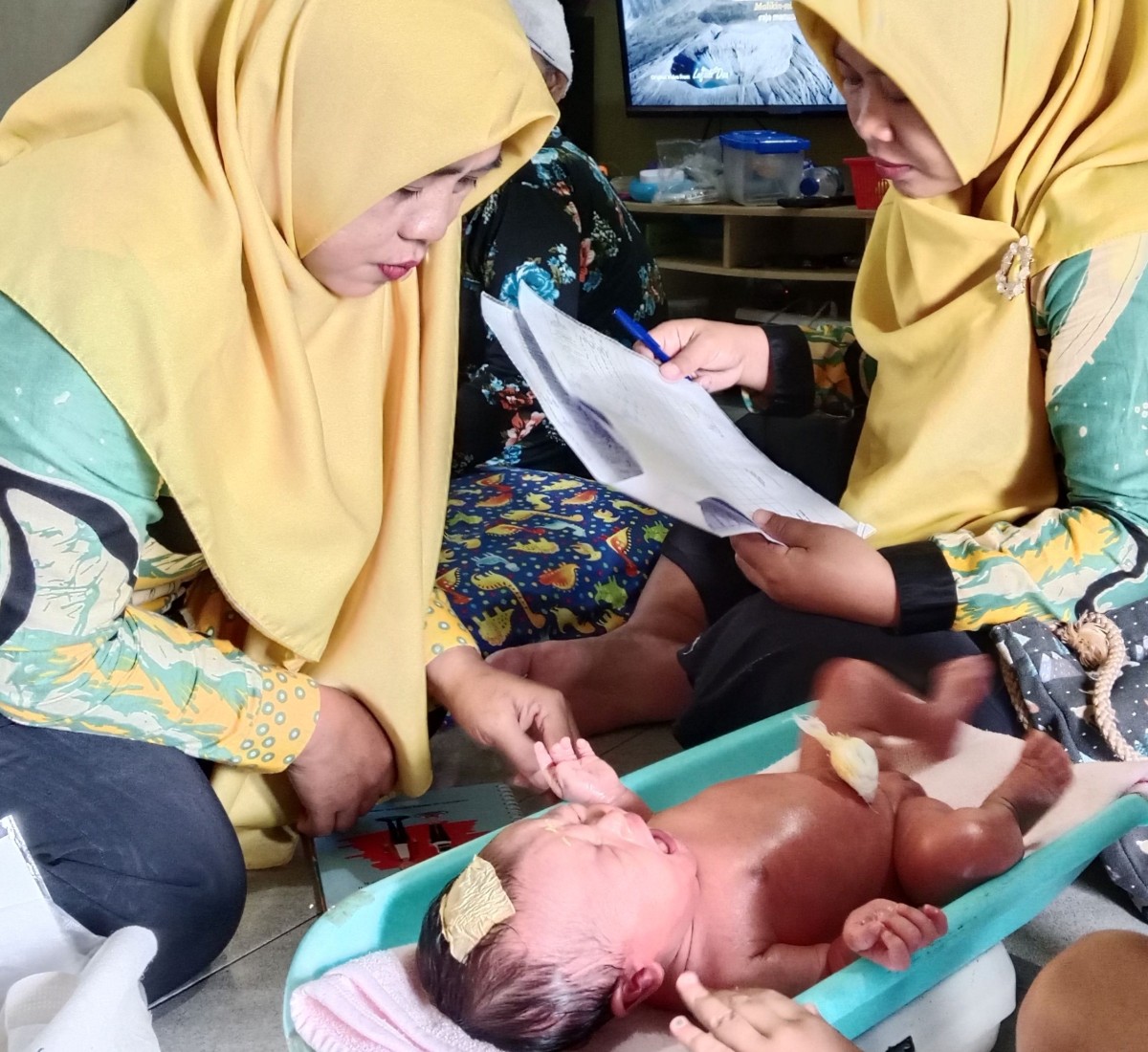 Kunjungan pasca salin