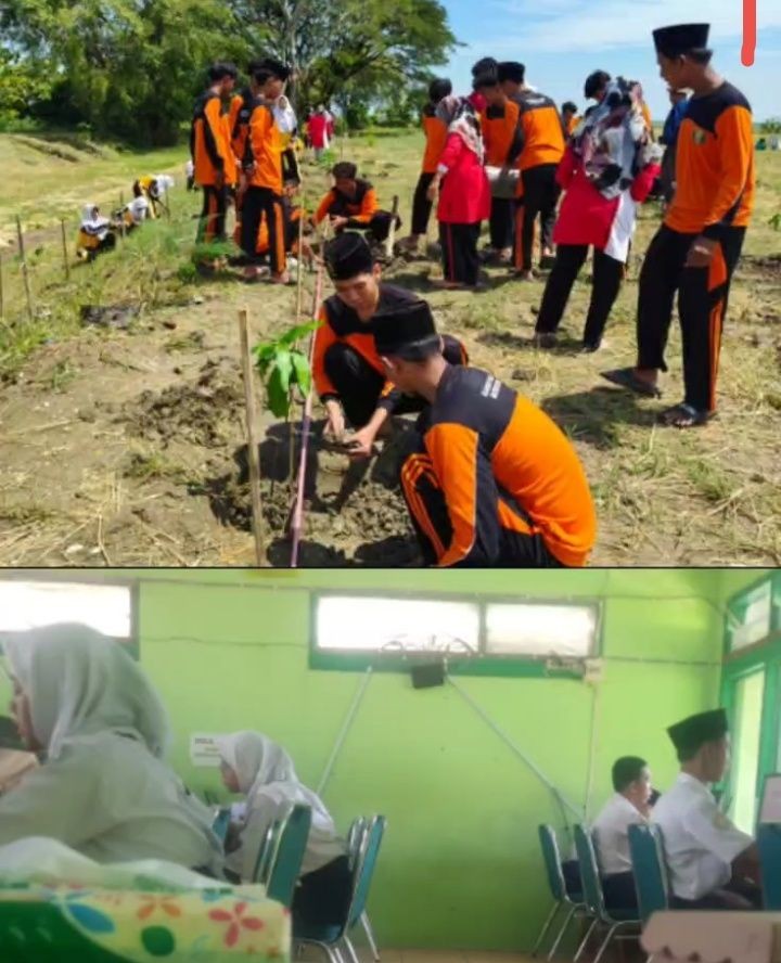 Penanaman pohon