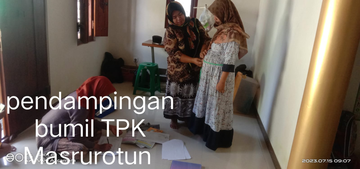 pendampingan bumil