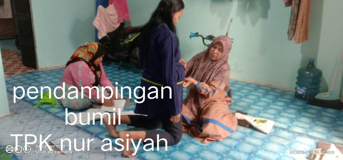 pendampingan bumil