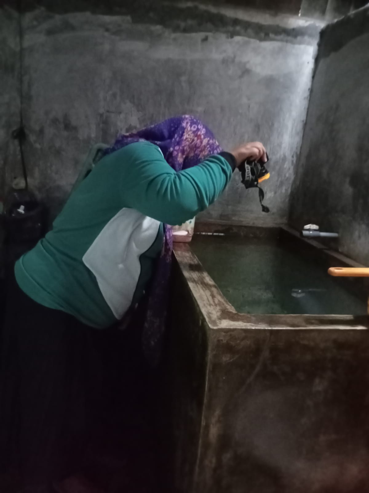 pemberantasan sarang nyamuk