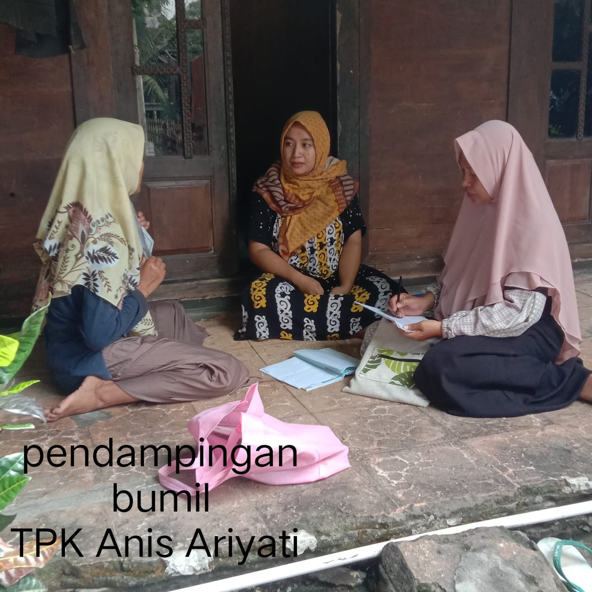 kunjungan TPK ke bumil