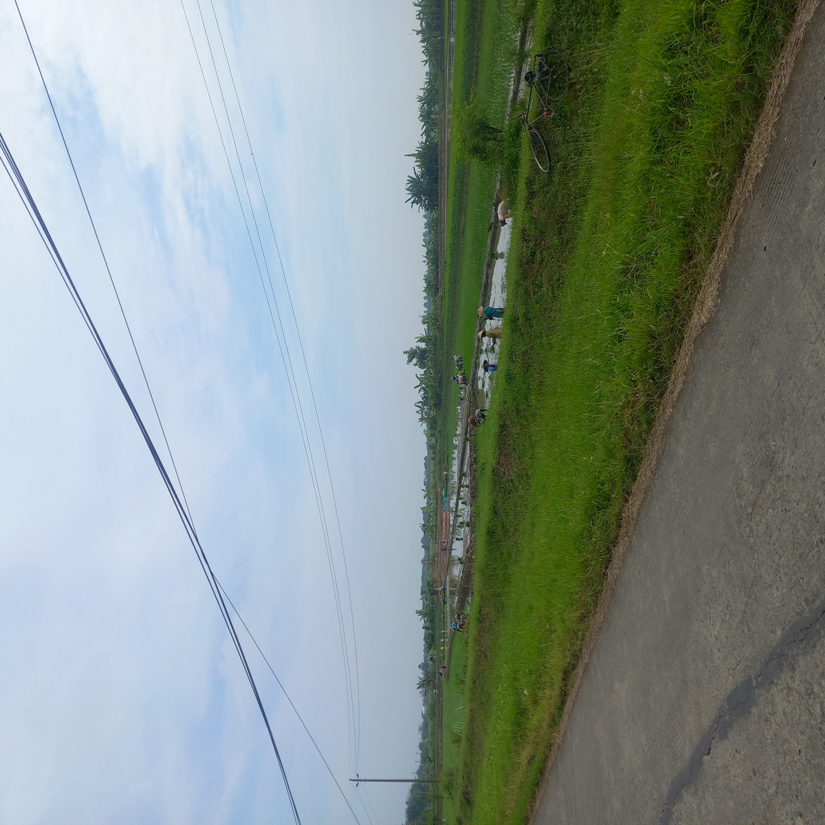 musim tanam ke 2 thn 2025