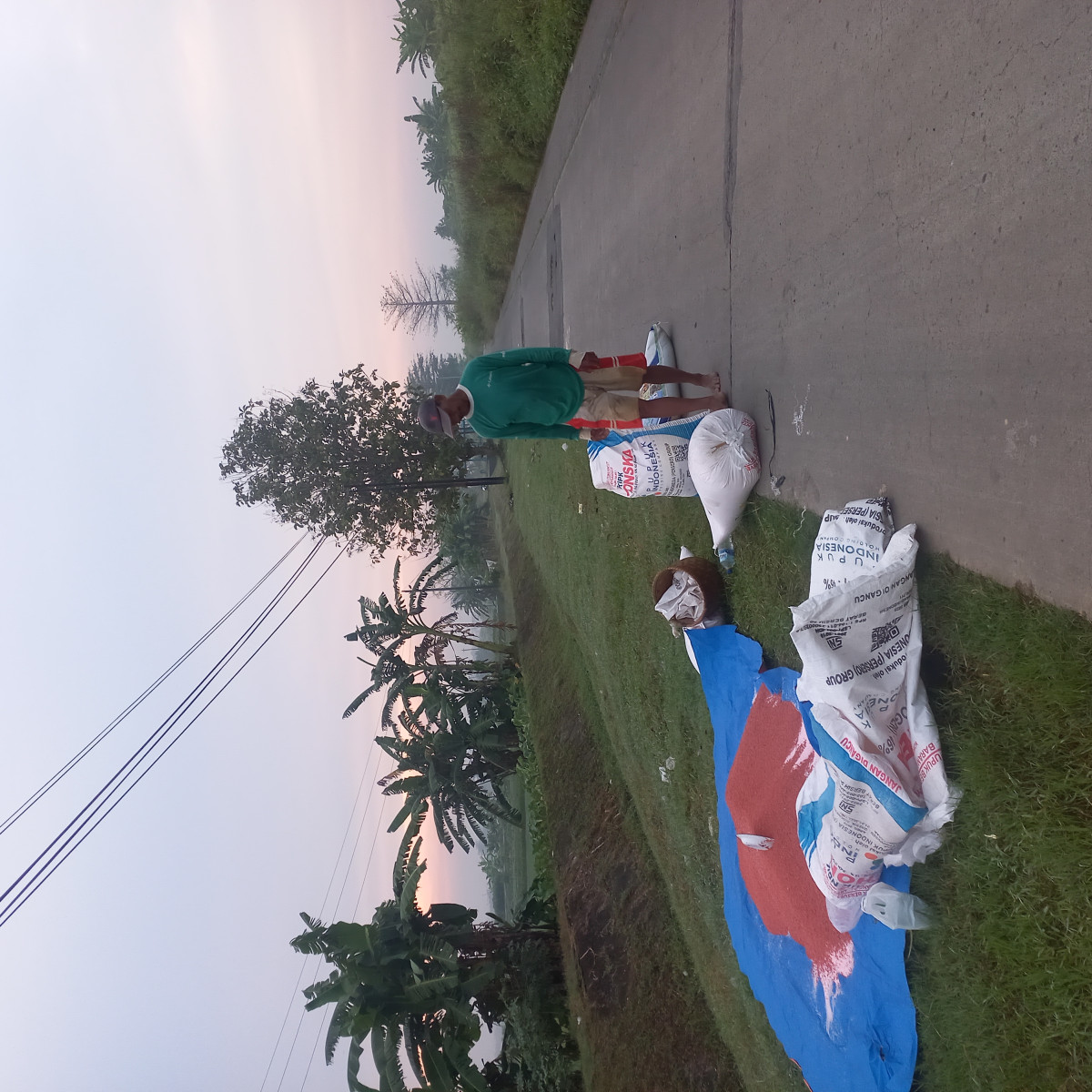 petani mencampur  urea yg akan di sevar di tanaman padi