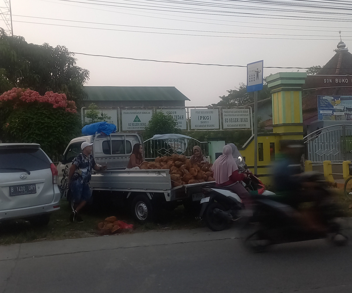 penjual kelapa