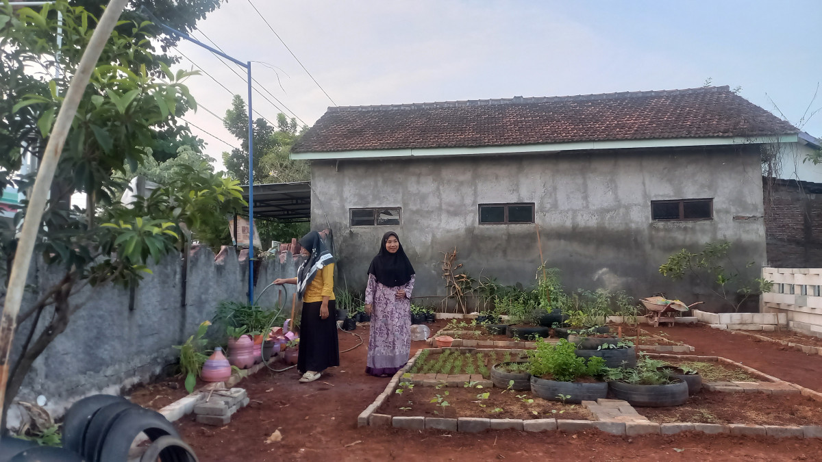 jadwal menyirami tanaman obat keluarga toga