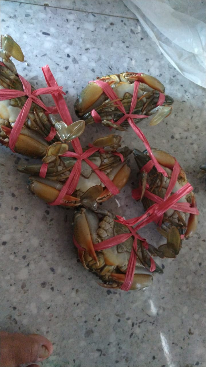 pemasaran hasil laut kepiting