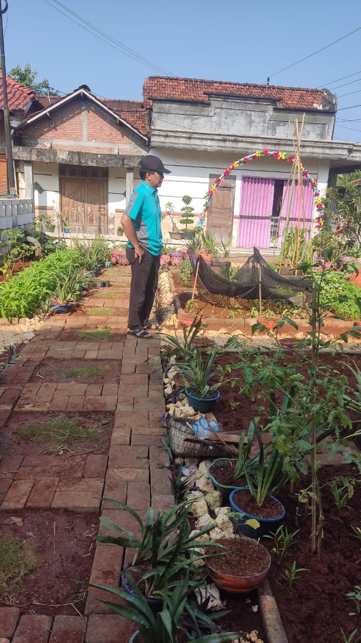 menanam tanaman hias