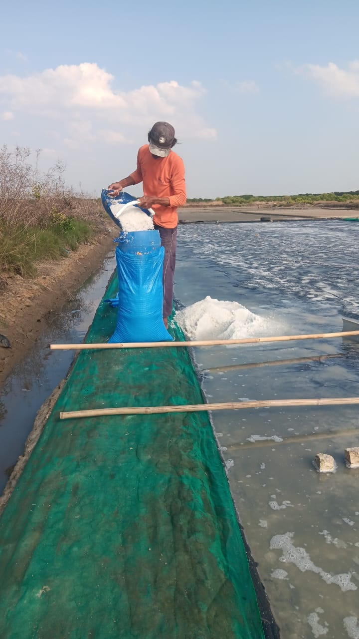 Merasakan manisnya butiran garam penduduk Desa Kedungmutih yang berprofesi sebagai petani tambak garam