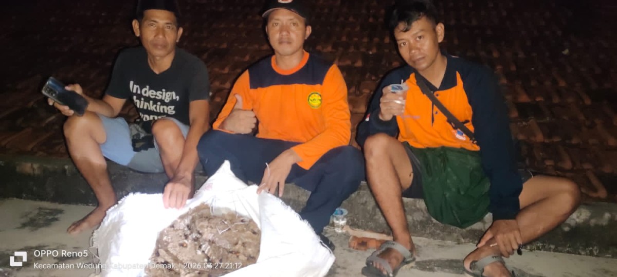 PENGAMBILAN RUMAH TAWON VESPA DESA KEDUNGMUTIH 2026