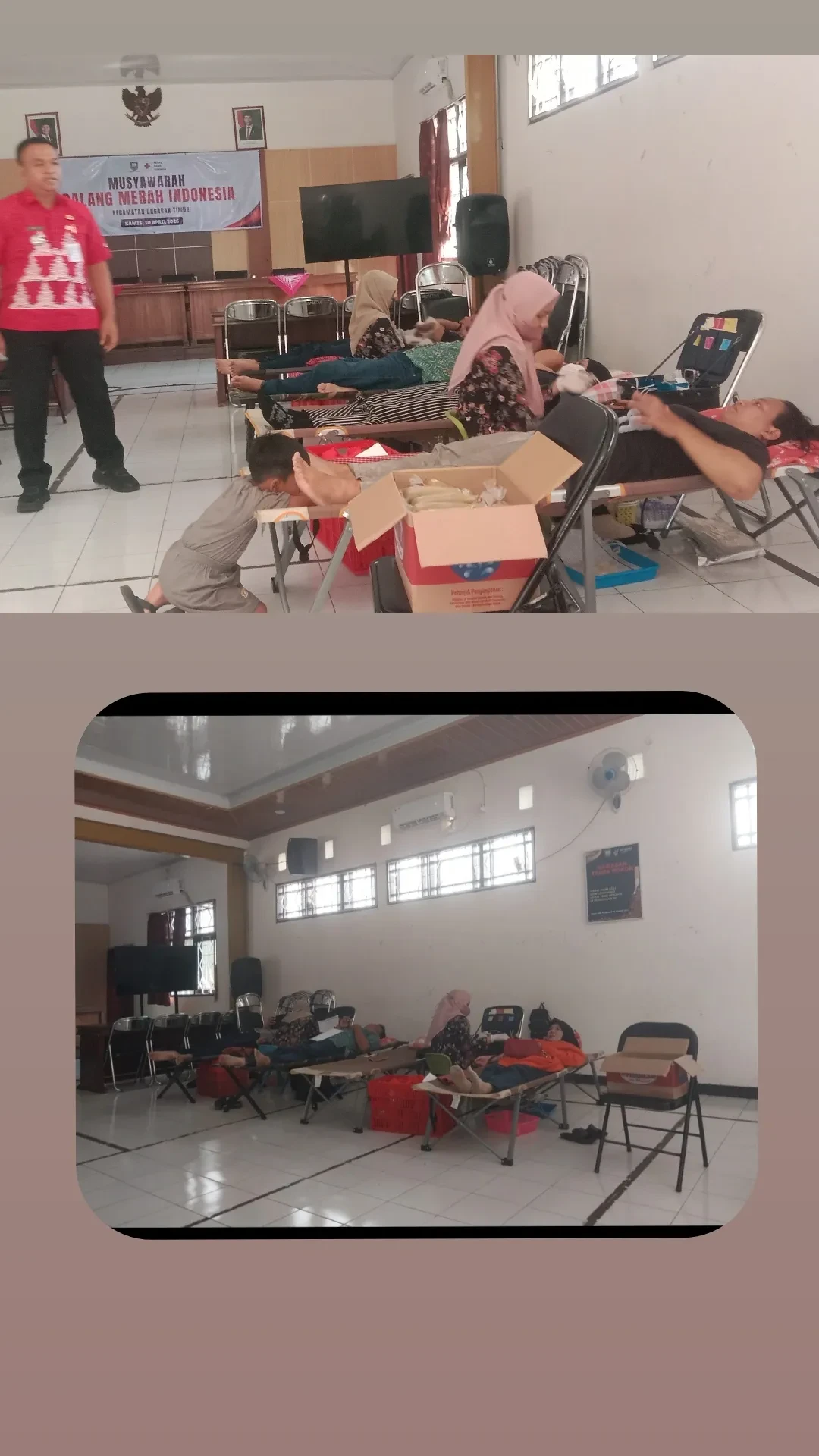 Donor darah