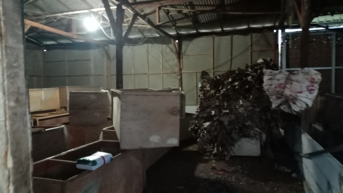 USAHA PEREKONOMIAN KELUARAGA(BUDIDAYA JANGKRIK)