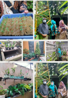 Pemanfaatan Tanah Pekarangan