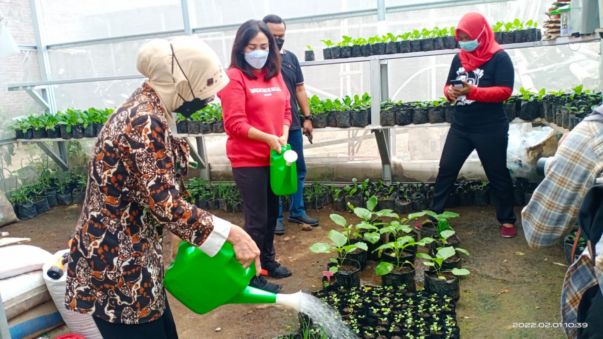 Kunjungan Ketua TP PKK Kota Semarang di KWT Sinar Surya RW 9 Jomblang