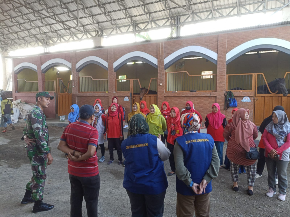 Kegiatan pemberantasan sarang nyamuk