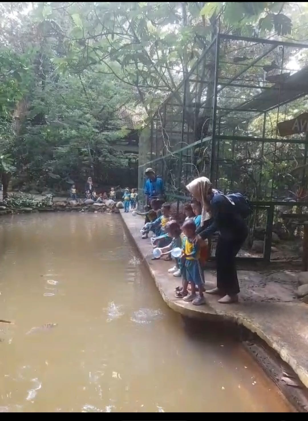 Outing class mengajarkan anak-anak paud menebarkan ikan lele