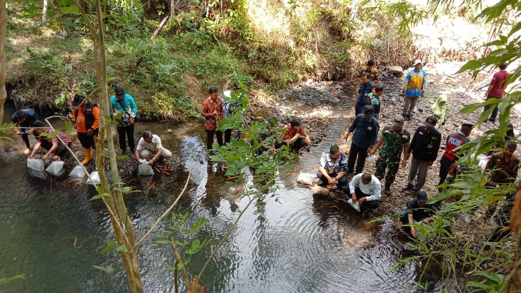 Penebaran Benih Ikan Sebanyak 10.000 Ekor Di Festival Jaga Kaliku