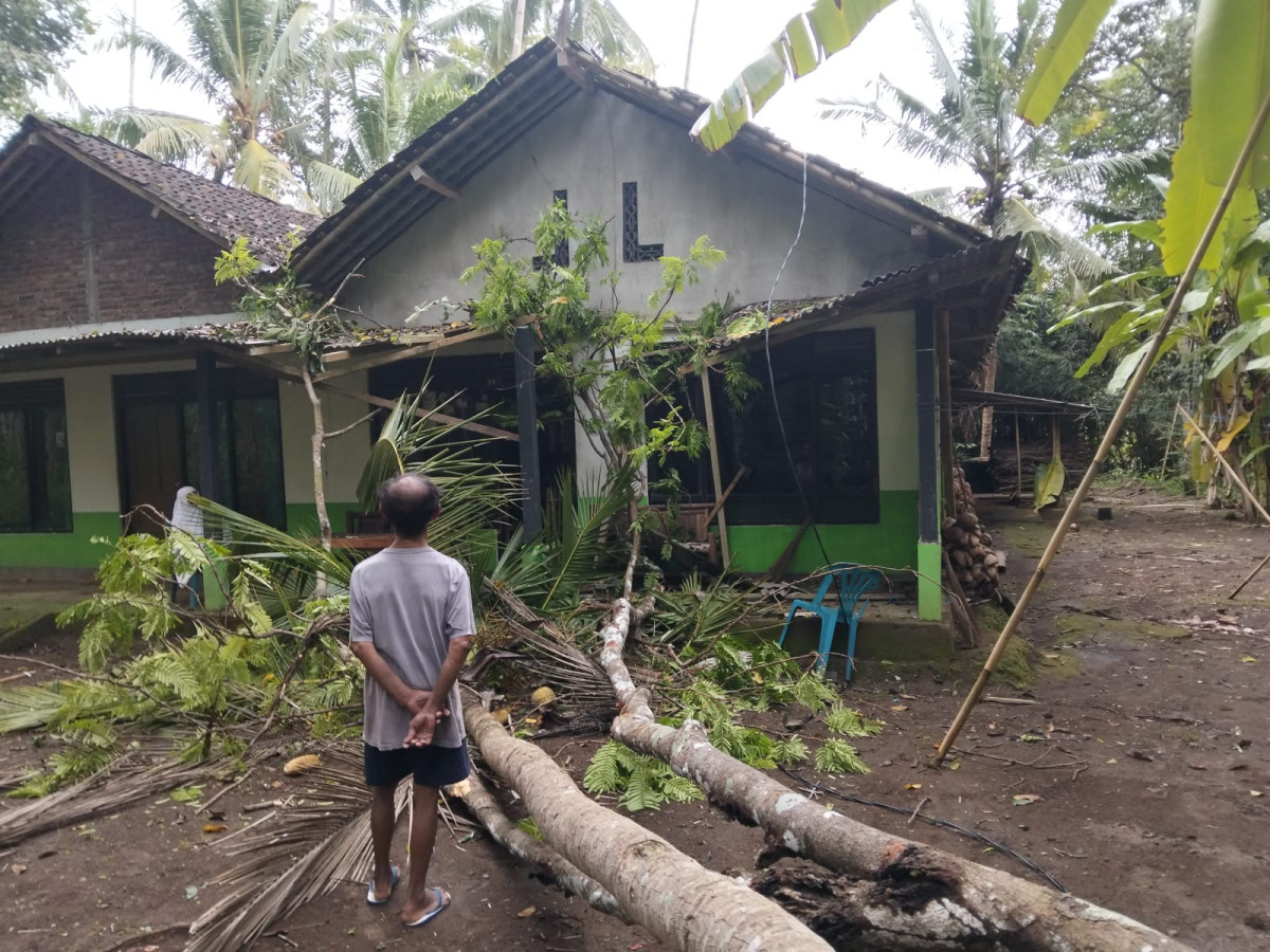 Bencana pohon tumbang menimpa rumah warga padukuhan Banjaran