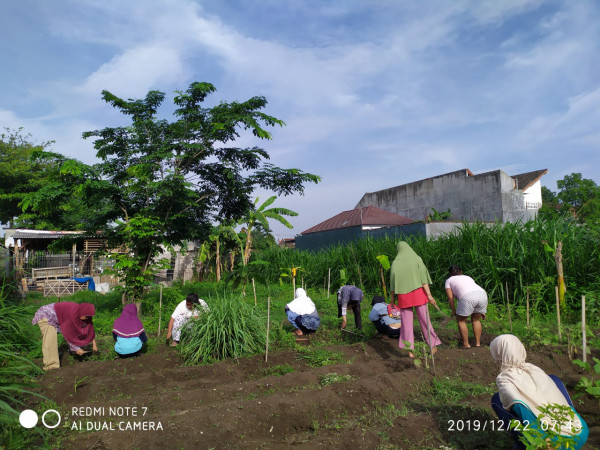Seksi lingkungan, KWT Ijoroyo di padukuhan Kaliwaru