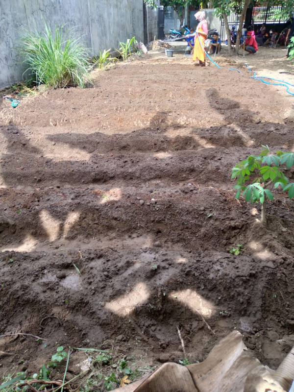 Seksi Lingkungan, KWT Padukuhan Gandok