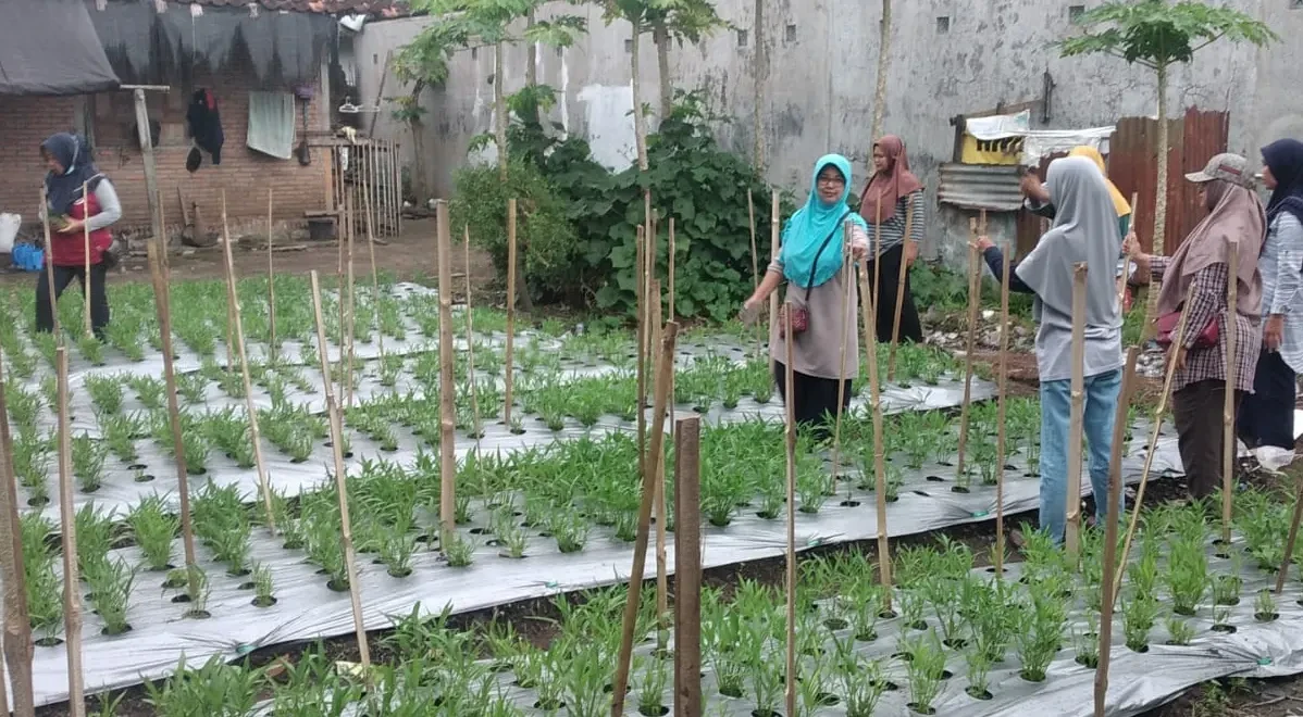 Giat Kwt agawe Asri,padukuhan Dero,Senin 20februari 2023,